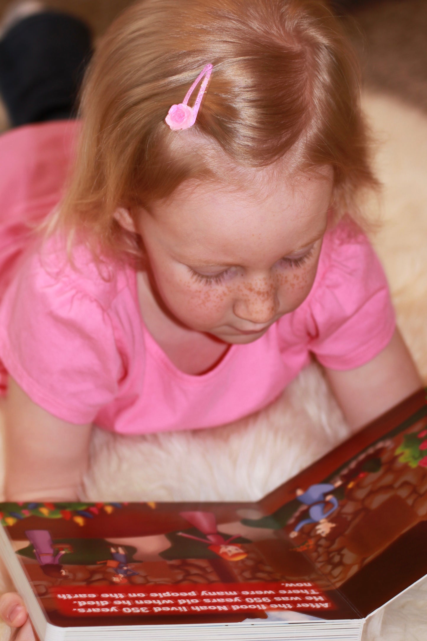 CREATION, Board Book