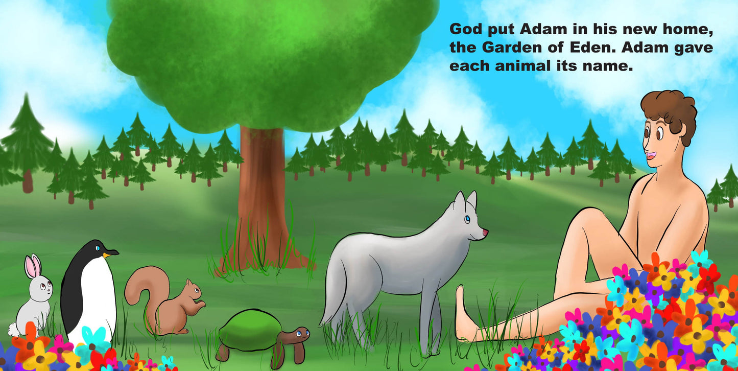 CREATION, Board Book